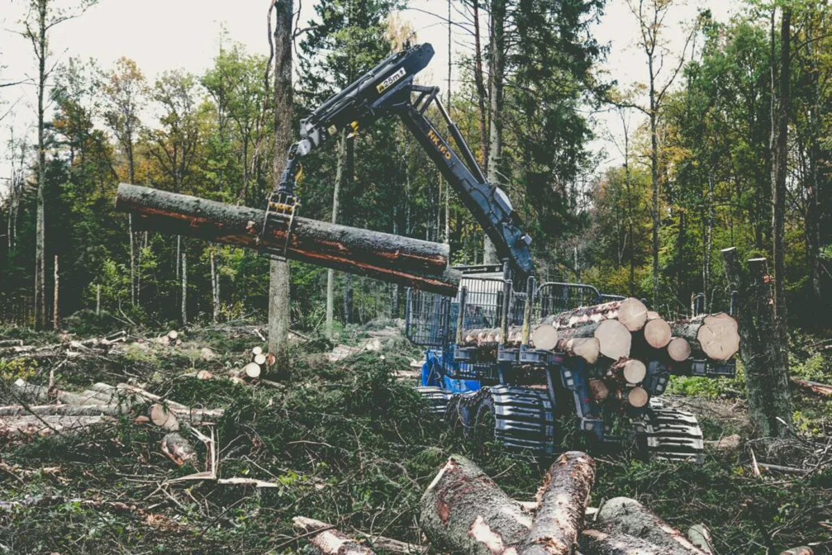 Ormancılık ve Alan Bakım Makinası Alım Rehberi: Harvester, Forwarder ve Parçalayıcı