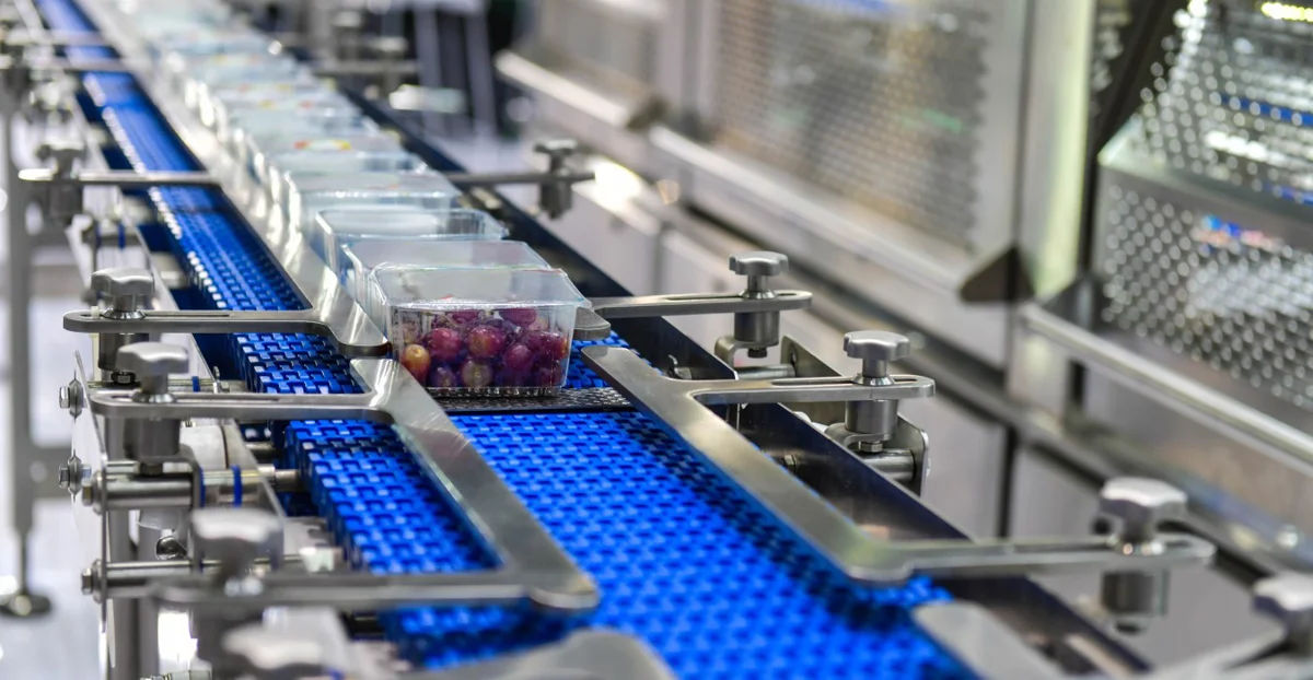 Ambalaj ve Paketleme Makinası Satın Alma Rehberi: Dolum, Flowpack ve Shrink Hatları