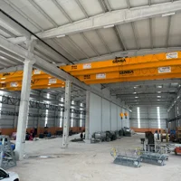Oğuzmak Yüksek Performanslı Köprülü Vinç