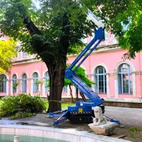 Ruthman Bluelift SA-18 17 Metre Örümcek Platform