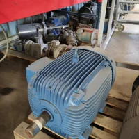 WEG 45 kW (60 HP) 1500 Devir Pik Gövde Elektrik Motoru (Avrupa) - PTC Korumalı